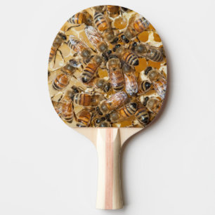 Raquette De Ping Pong Apiculture à Arlo's Honey Farm