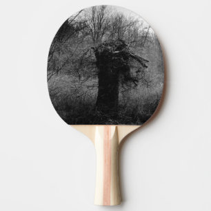 Raquette De Ping Pong Arbre ancien
