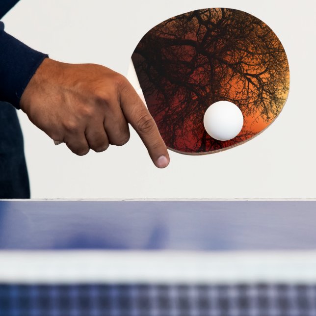 Raquette De Ping Pong Arbre d'hiver Silhouette (Insitu)