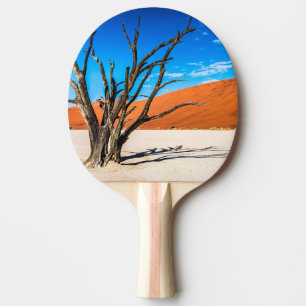 Raquette De Ping Pong Arbre mort à Deadvlei, Namibie
