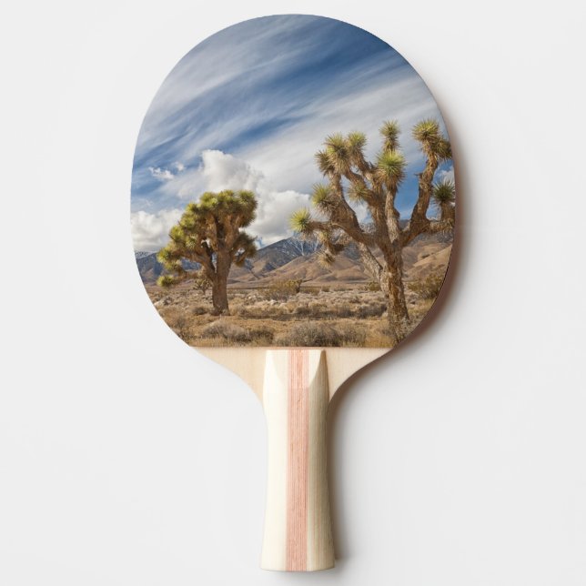 Raquette De Ping Pong Arbres de Joshua dans le désert (Devant)