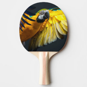 Raquette De Ping Pong Arums colorés de vol sur un arrière - plan foncé