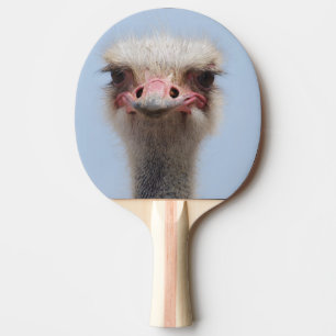 Raquette De Ping Pong Autruche