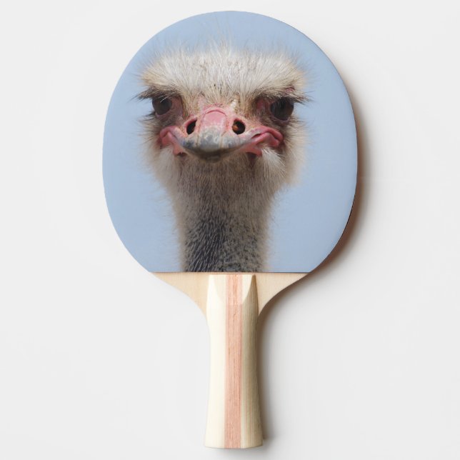 Raquette De Ping Pong Autruche (Devant)