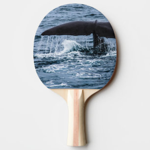Raquette De Ping Pong Baleine de Sperm