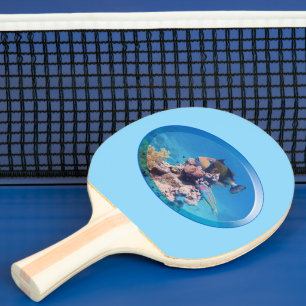 Raquette De Ping Pong Baliste à récif corallien - Conception photographi
