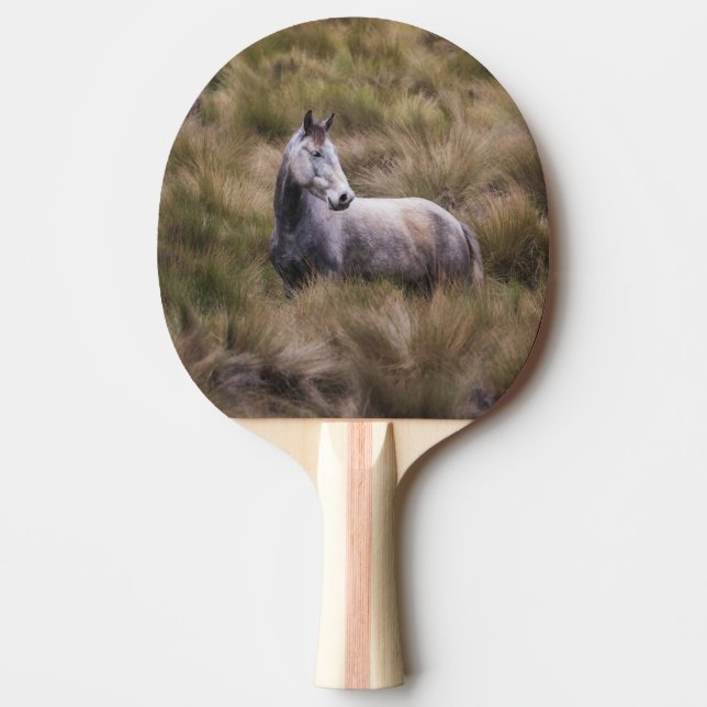 Raquette De Ping Pong Beau Cheval gris coloré (Devant)