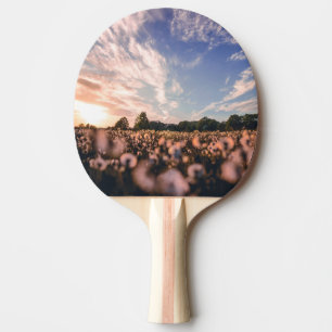 Raquette De Ping Pong beau ciel sur la plaine
