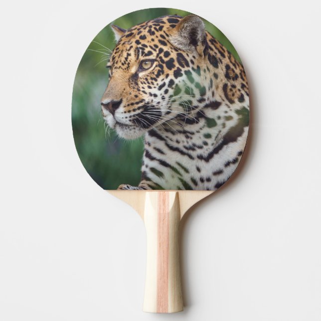 Raquette De Ping Pong Beau Jaguar dans la nature (Devant)
