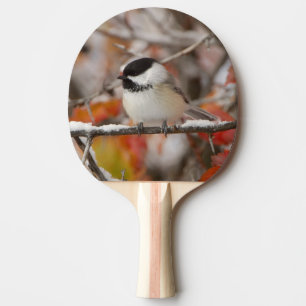 Raquette De Ping Pong Bécasseau noir adulte en neige