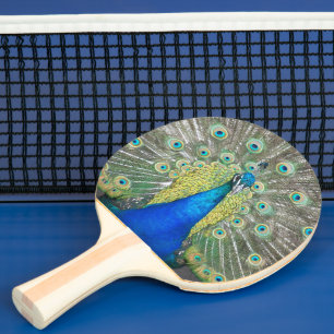 Raquette De Ping Pong Belle photo de Blue Peacock
