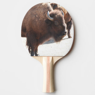 Raquette De Ping Pong Bison
