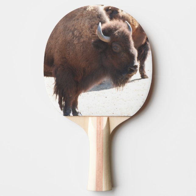 Raquette De Ping Pong Bison (Devant)