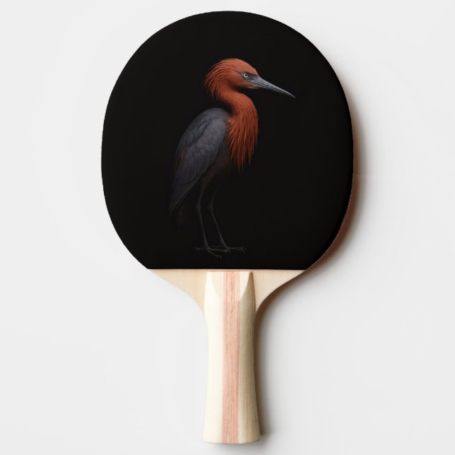 Raquette de ping pong Black 4 Luxe, Aigrette rouss (Dos)