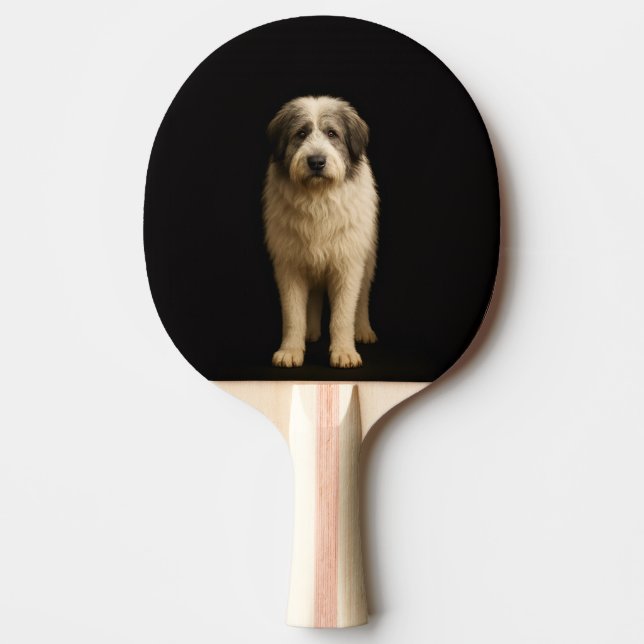 Raquette de ping pong Black 4 Luxe, berger Mioriti (Devant)
