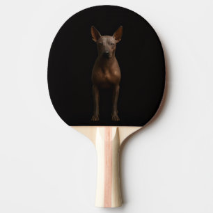 Raquette de ping pong Black 4 Luxe, Chien Pila d'A