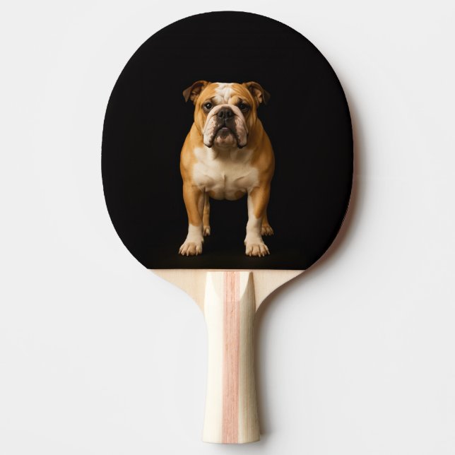 Raquette de ping pong Black 4 Luxe, Stamina Bulldo (Devant)