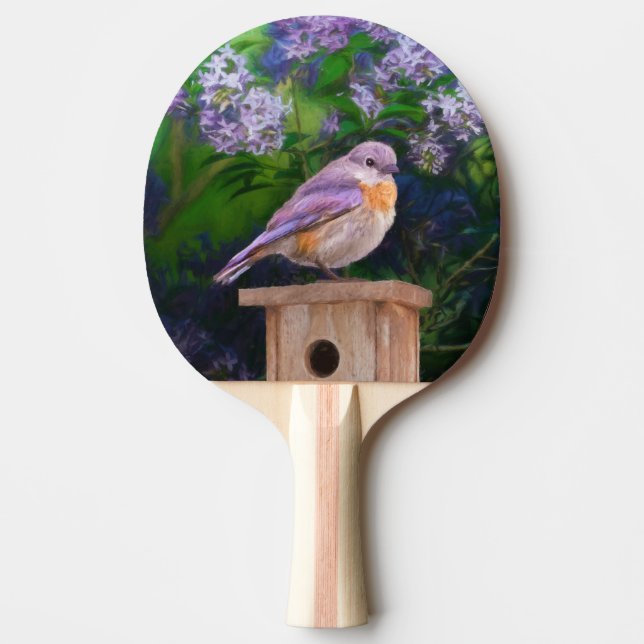 Raquette De Ping Pong Bleuet de l'Est en neige - Photo originale (Devant)