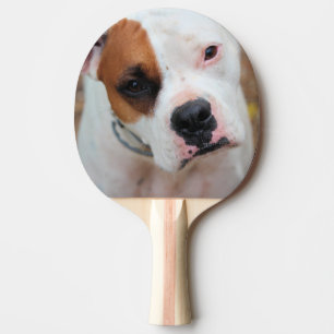 Raquette De Ping Pong Boucle