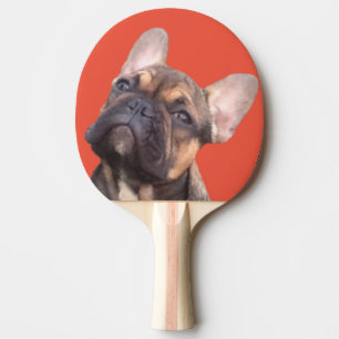 Raquette De Ping Pong Bouledogue français