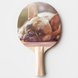 Raquette De Ping Pong bouledogue français allongé