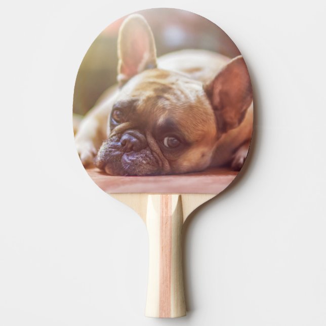 Raquette De Ping Pong bouledogue français allongé (Devant)
