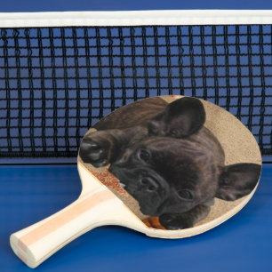 Raquette De Ping Pong Bouledogue français au bord de la mer French Bulld