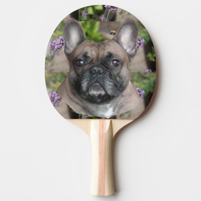 Raquette De Ping Pong Bouledogue français avec abeille (Devant)