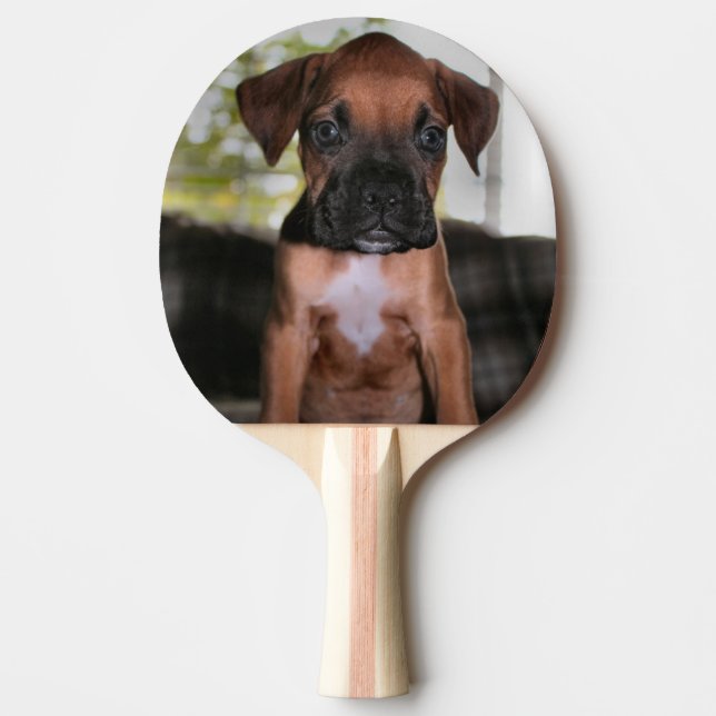 Raquette De Ping Pong Boxer Bqby (Devant)