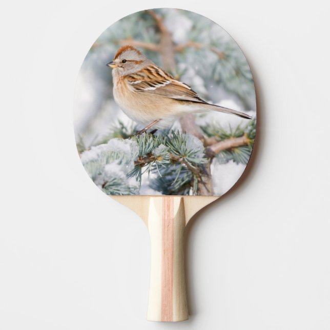 Raquette De Ping Pong Bruant hudsonien en hiver (Devant)