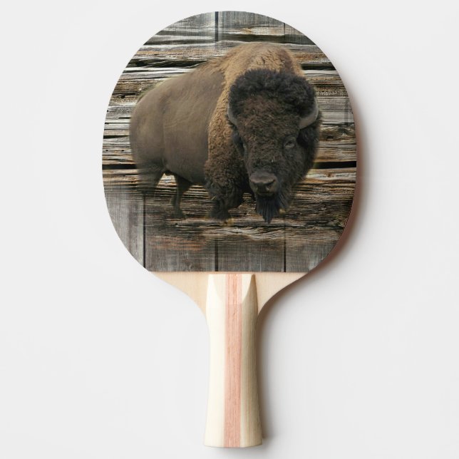Raquette De Ping Pong Buffalo (Devant)