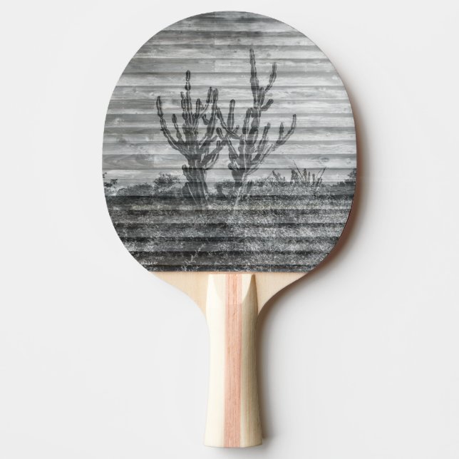 Raquette De Ping Pong Cactus Plants On Wood Planks Black And White Photo (Devant)