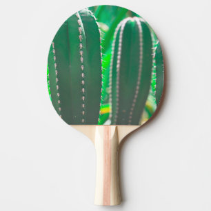 Raquette De Ping Pong Cactus vert plante pastel feuille