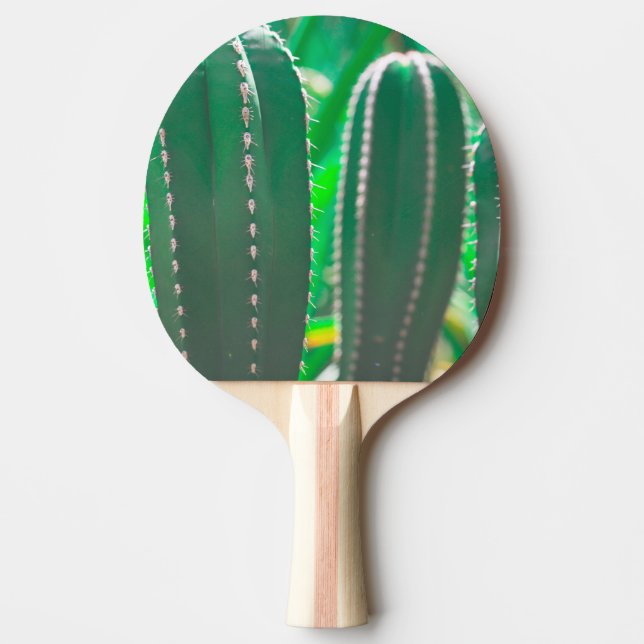 Raquette De Ping Pong Cactus vert plante pastel feuille (Devant)