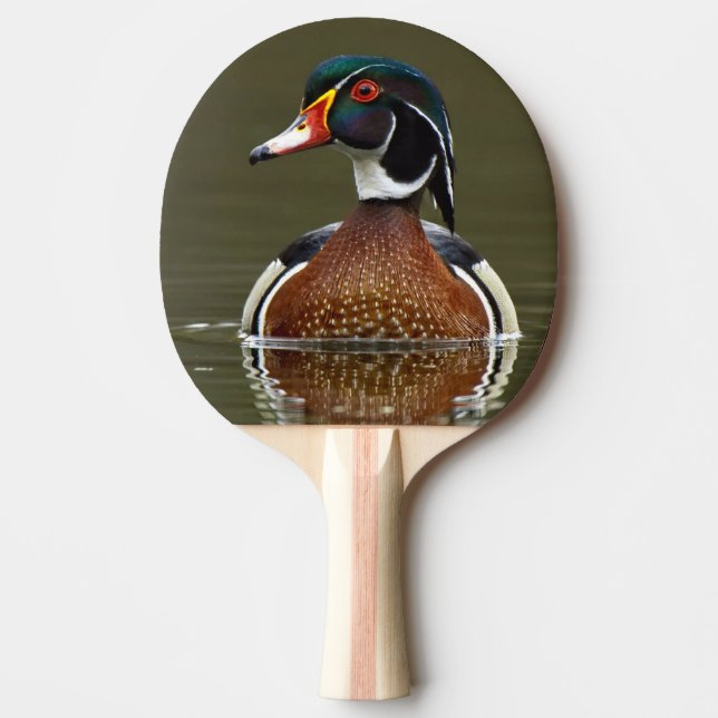 Raquette De Ping Pong Canard à bois sur l'eau (Devant)