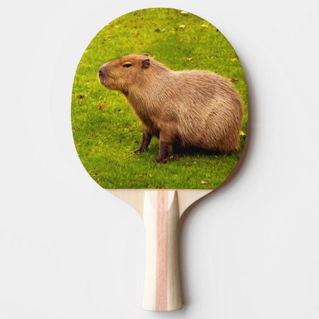 Raquette De Ping Pong Capybara (Devant)