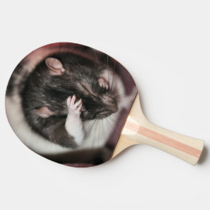 Raquette De Ping Pong Casque