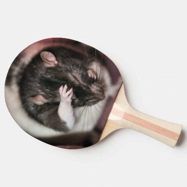 Raquette De Ping Pong Casque (Côté)