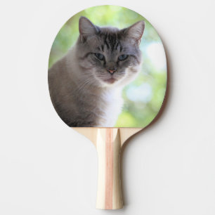 Raquette De Ping Pong Cat