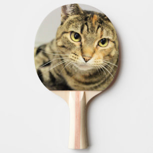 Raquette De Ping Pong Cat