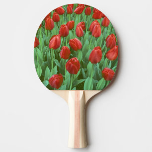 Raquette De Ping Pong Champ de tulipes en fleurs au printemps.