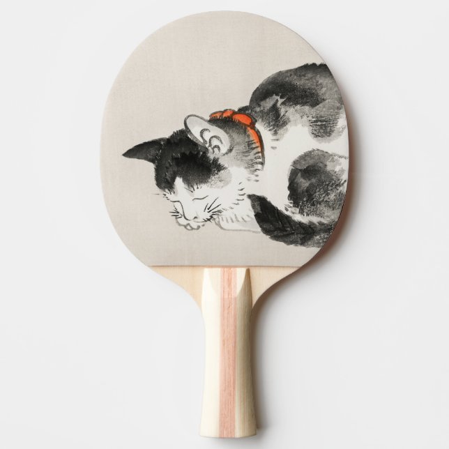 Raquette De Ping Pong Chat endormi (Devant)