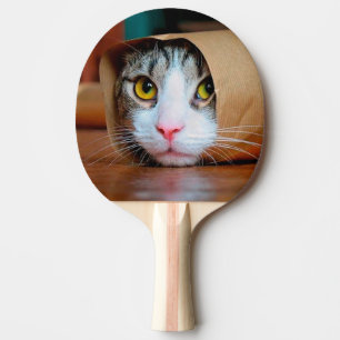 Raquette De Ping Pong Chat enveloppé dans un papier brun