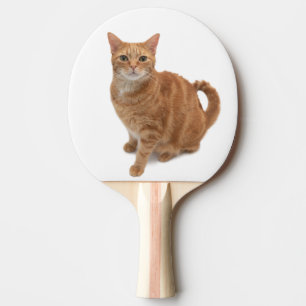 Raquette De Ping Pong Chat orange debout