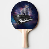 Chat sur synthétiseur dans l'espace