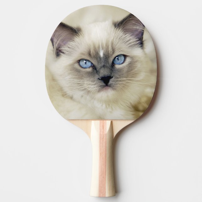 Raquette De Ping Pong Chaton Ragdoll (Devant)