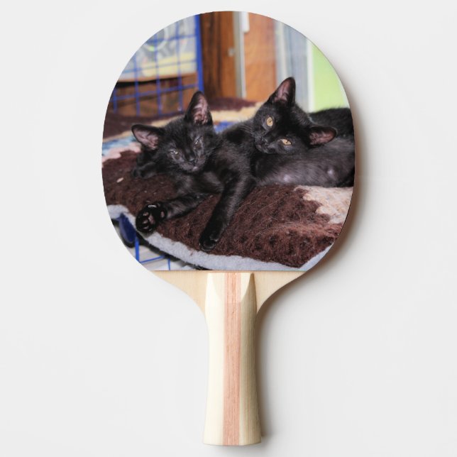 Raquette De Ping Pong Chatons (Devant)