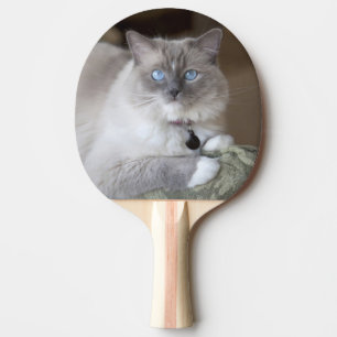 Raquette De Ping Pong Chatte Ragdoll