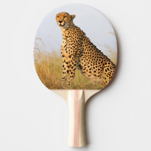Raquette De Ping Pong Cheetah animal sauvage Big Cat