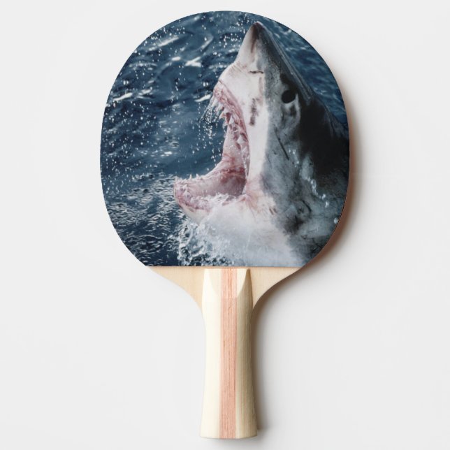 Raquette De Ping Pong Chef du grand requin blanc (Devant)